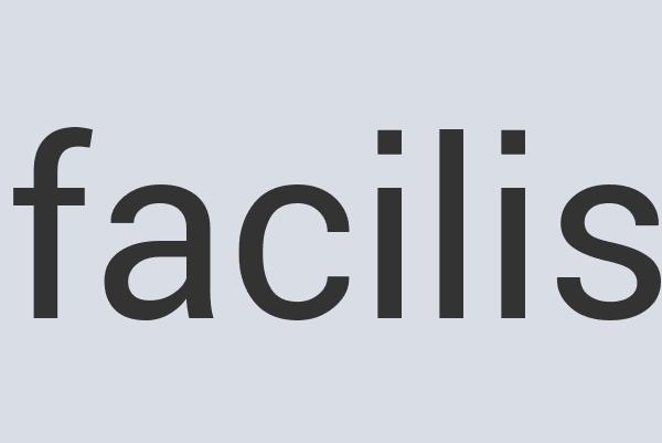 Heavy Duty Rubber See-Thru Composites